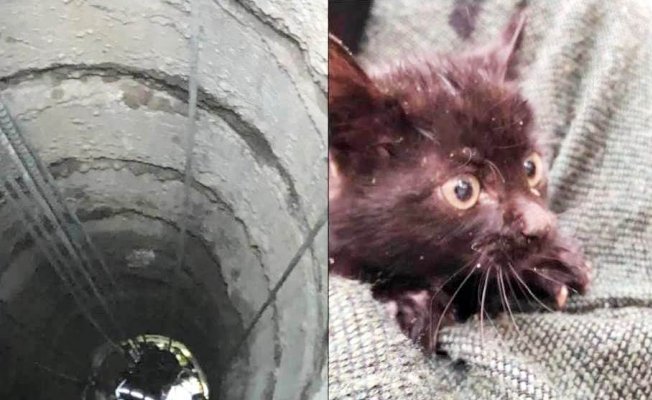 Kuyuda mahsur kalan yavru kedi kurtarıldı